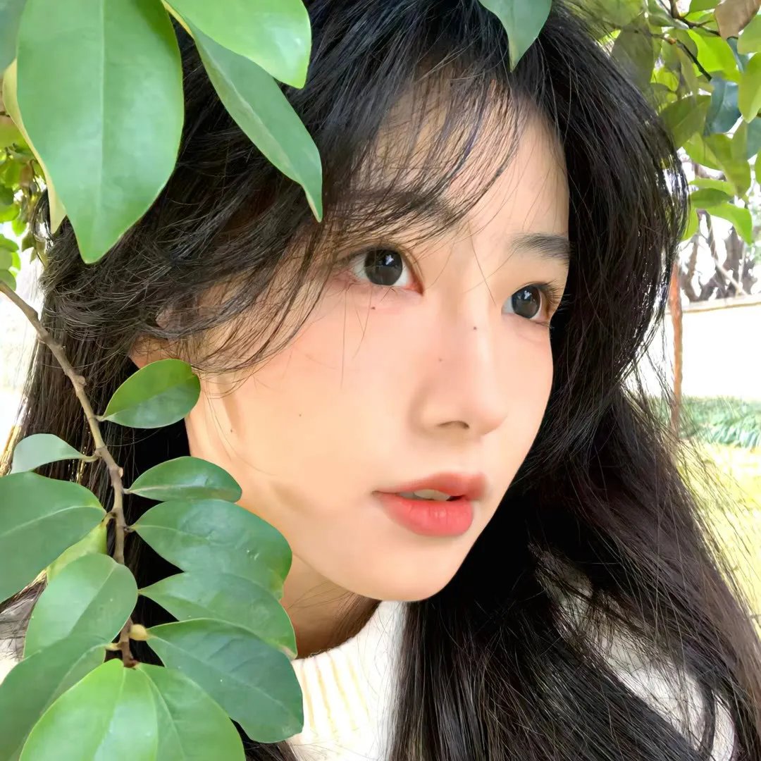 夏日的柠檬草